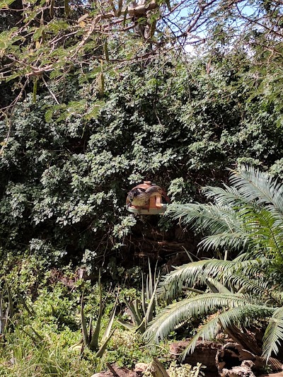Photos of Phokoje Bed and Breakfast