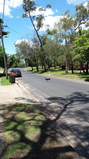 Mount Kuring-Gai Community Centre - Thumbnail