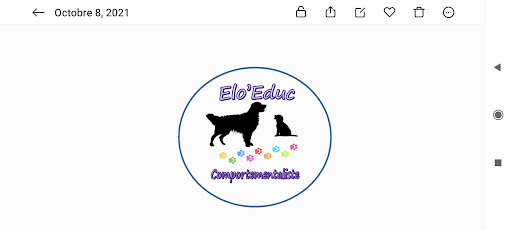 Elo'Educ'Comportementaliste - Thumbnail