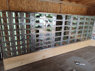 Photo n°18 de Les Légumes de César à Cussy (Épicerie)