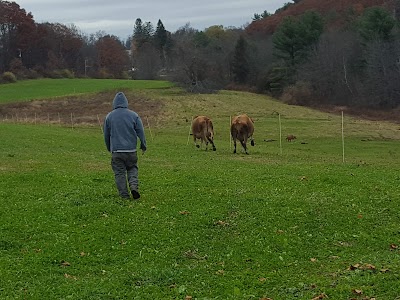 Stillman Dairy