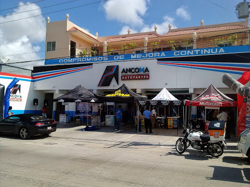 Ancona Autoparts - Av Constituents.