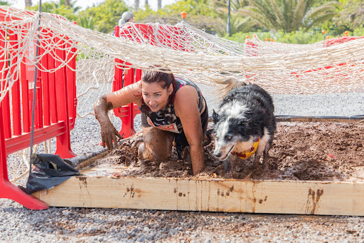 Improyect Internacional