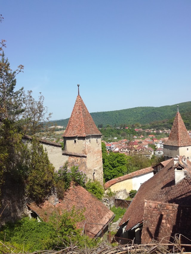 Sighișoara