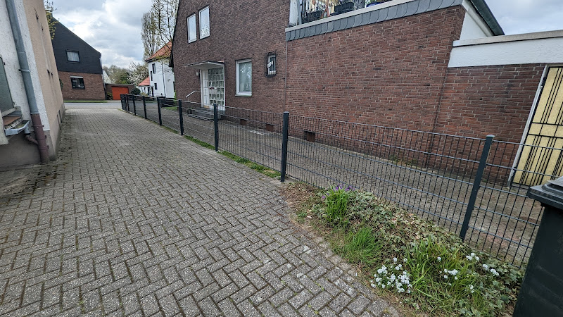 Die Gartenprofis Marcel Marx photo