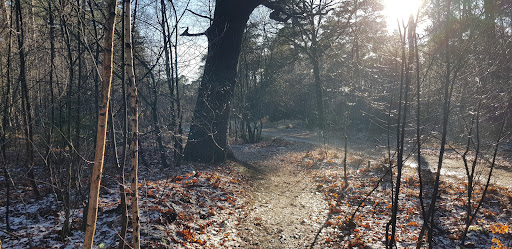 Hike in den Treek Gallery - Netherlands