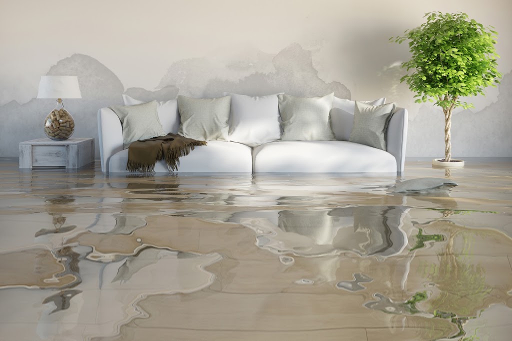 Property Solutions photo