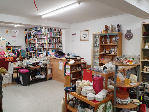 Cat Rescue West Wales Gallery - United Kingdom