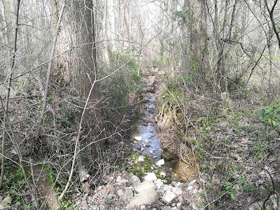 Photos of Wesselman Nature Society