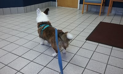 Photos of Manakin-Sabot Veterinary Clinic