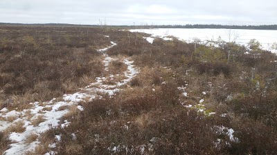 Photos of T&auml;navj&auml;rv