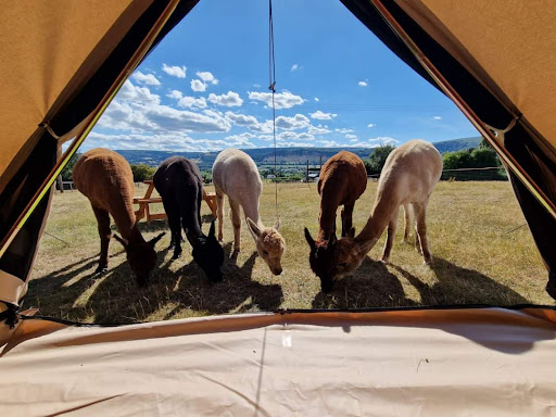 Cwtch Glamping - Visual