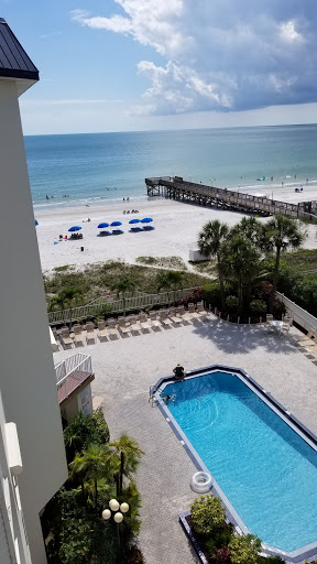 Beach Palms - Visual