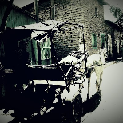 Photos of KEBELE 16