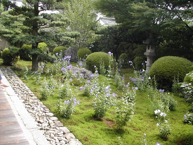 Tentoku-in Temple