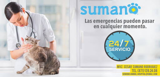 Sumano Animal Hospital - Hospital Veterinario en Torreón - Oftalmólogo Veterinario