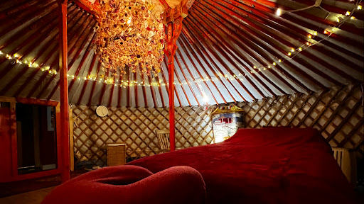 Yurt in the City