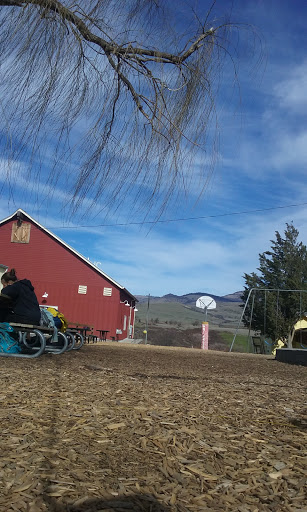 Willow Wind Learning Center - Visual
