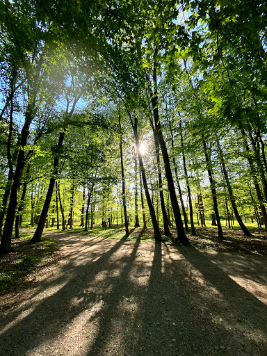 Freiherr - von Wintzingerrode Park
