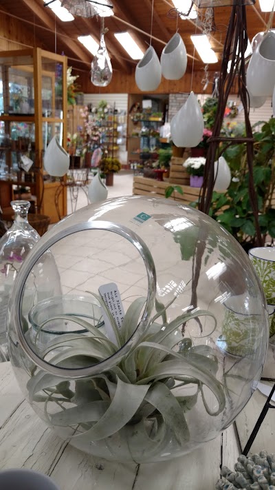 Photos of Forth Floral