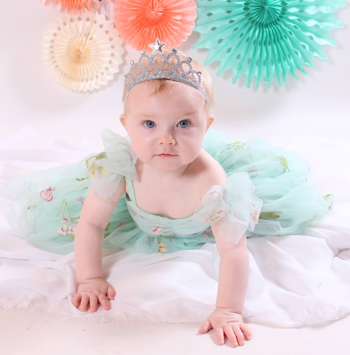 Rachel Faye Photography - Photographers in 14 Yewdale Cres