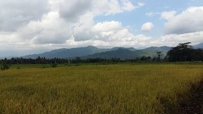 Photos of surVive GIEZAG