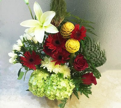 Photos of Lolita's Dream Home and Flowers 4 You Antigua