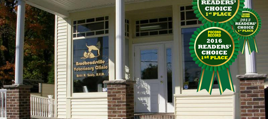 Brodheadsville Veterinary Clinic