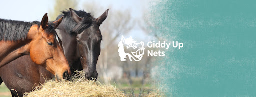 Giddy-Up Nets