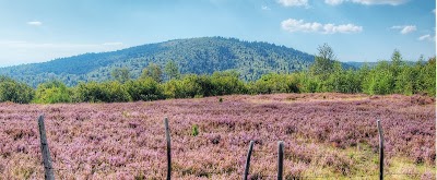 Photos of Ecofutura