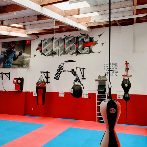 Barnstaple Amateur Boxing Club - Thumbnail