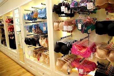 Photos of TKD Lingerie