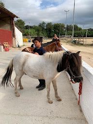 Photo n°30 de Centre Equestre Miramas | Mas de Combe à Miramas (Centre de randonnée équestre)