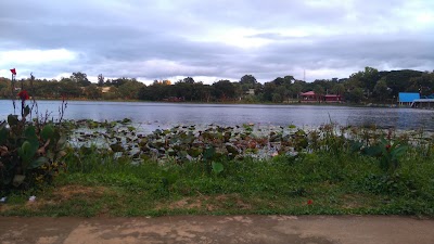 Photos of Thiri Daw