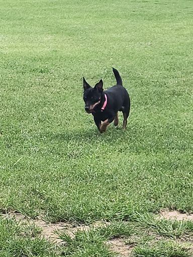 Frank Brown Park Dog Park - Thumbnail