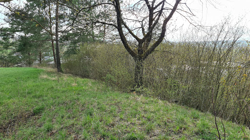 Park am Schillerberg - Thumbnail