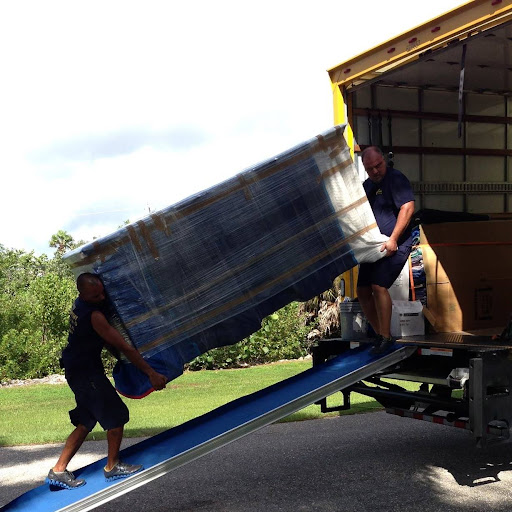 David McCarthy Moving - Visual