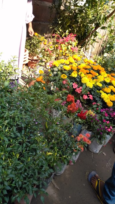 Photos of Plant Shop
