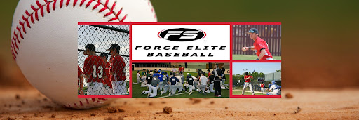 Force Elite Baseball - Visual