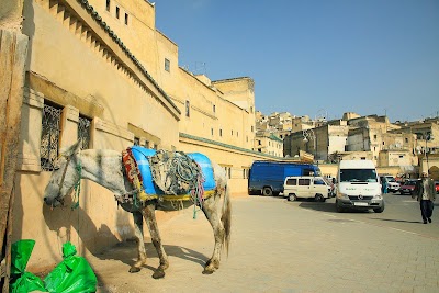 Photos of مقاطعة ابن دباب