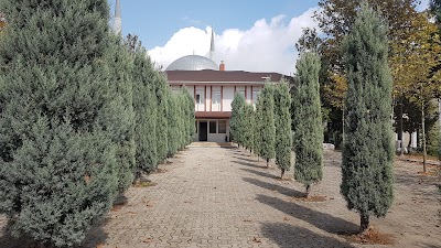 Sakarya Üniversitesi Türk Dili Öğretimi Uygulama ve Araştırma Merkezi (Sakarya Üniversitesi TÖMER)