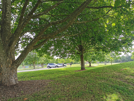 Claudelands Park - Thumbnail