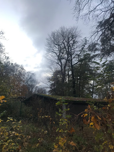 Wladimir-Gall-Weg - Thumbnail