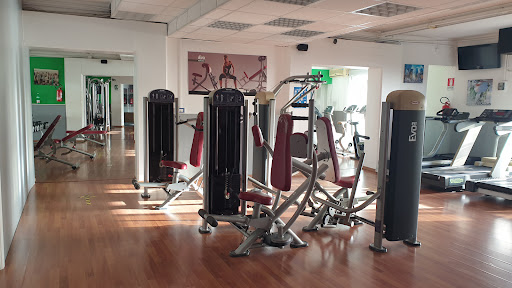 Palestra Vampolieri - Thumbnail