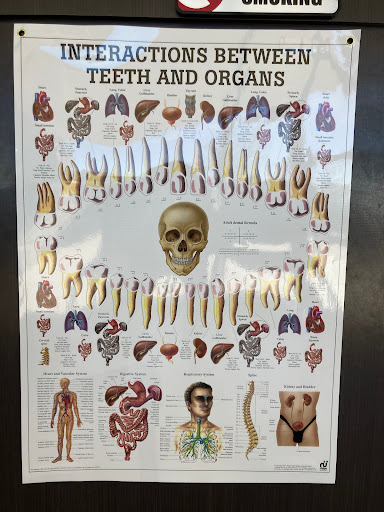 Bio Dental - Thumbnail