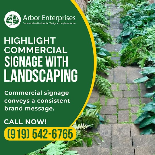 landscape design experts