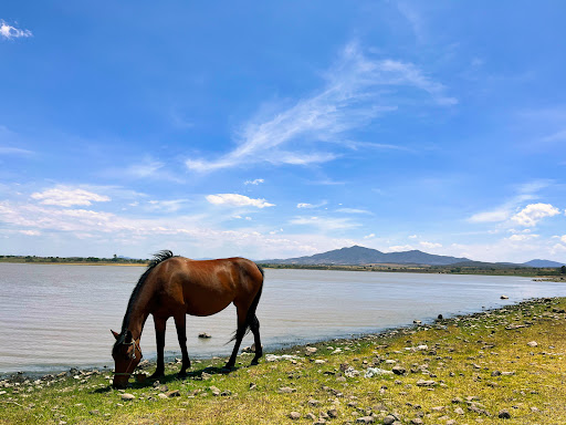 Presa de Ticuítaco - Thumbnail