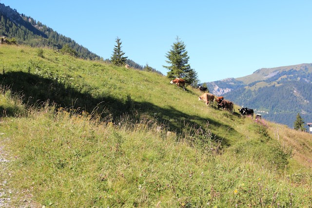 Col-du-Pillon, Glacier 3000