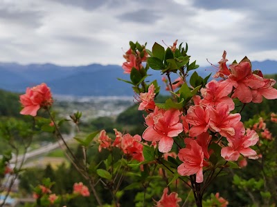 川谷つつじ山公園