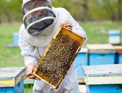 The Honey Mill